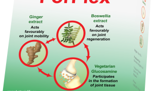 ForFlex